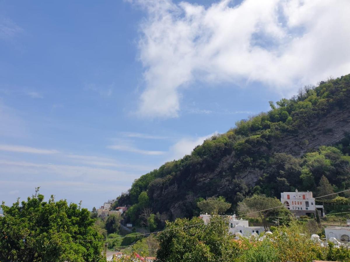 Sweet Home La Chicca Ischia Kültér fotó