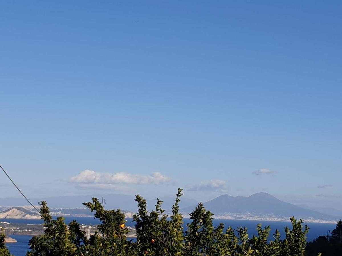 Sweet Home La Chicca Ischia Kültér fotó